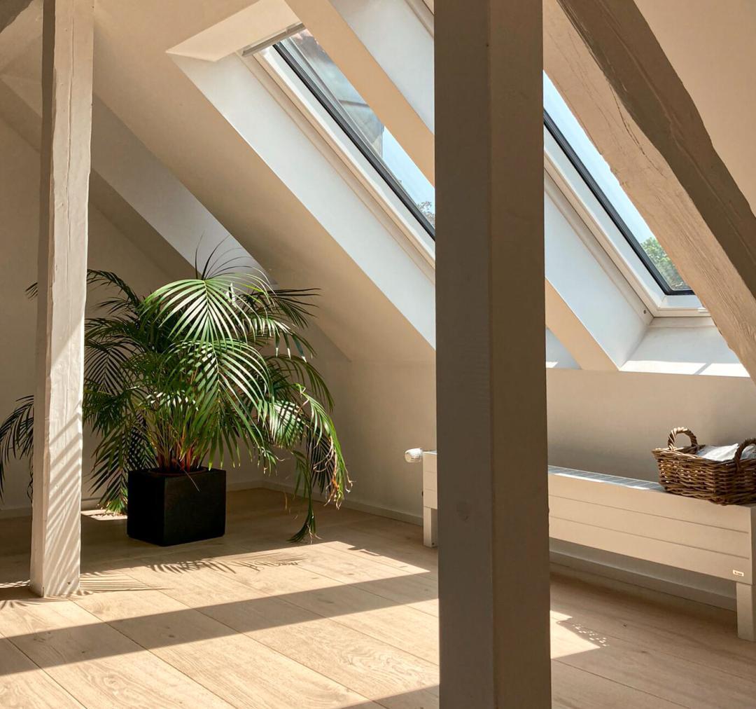 3S SD Dom soft-Muschel