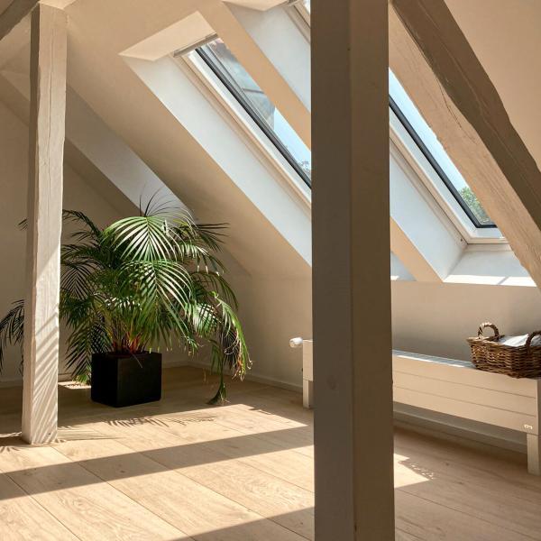 3S SD Dom soft-Muschel