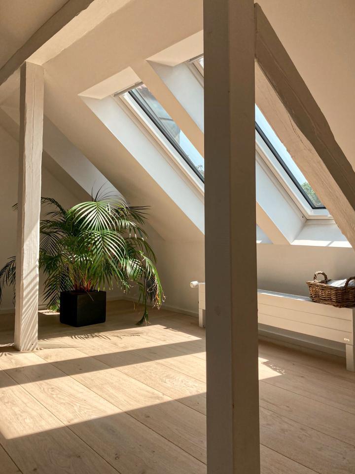 3S SD Dom soft-Muschel