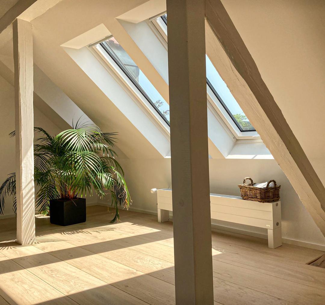 3S SD Dom soft-Muschel