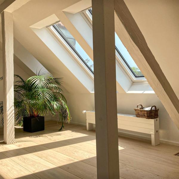 3S SD Dom soft-Muschel