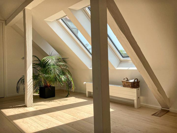 3S SD Dom soft-Muschel