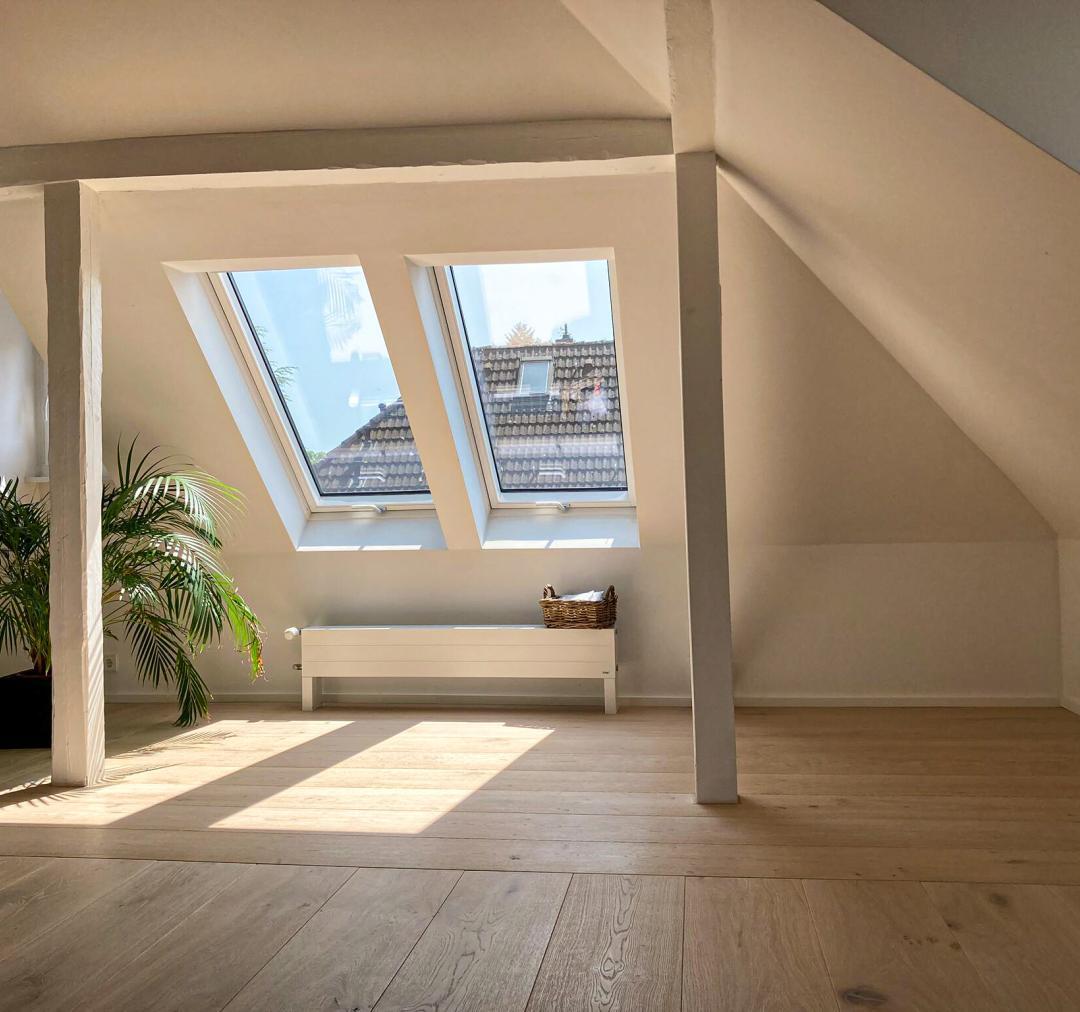 3S SD Dom soft-Muschel