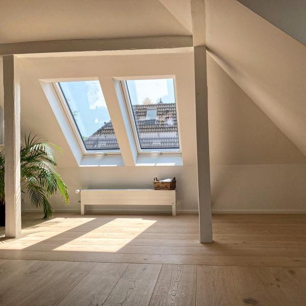 3S SD Dom soft-Muschel