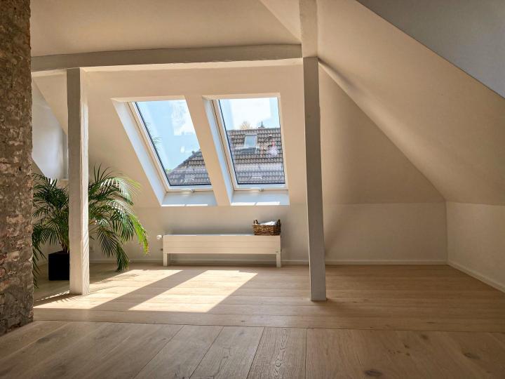 3S SD Dom soft-Muschel