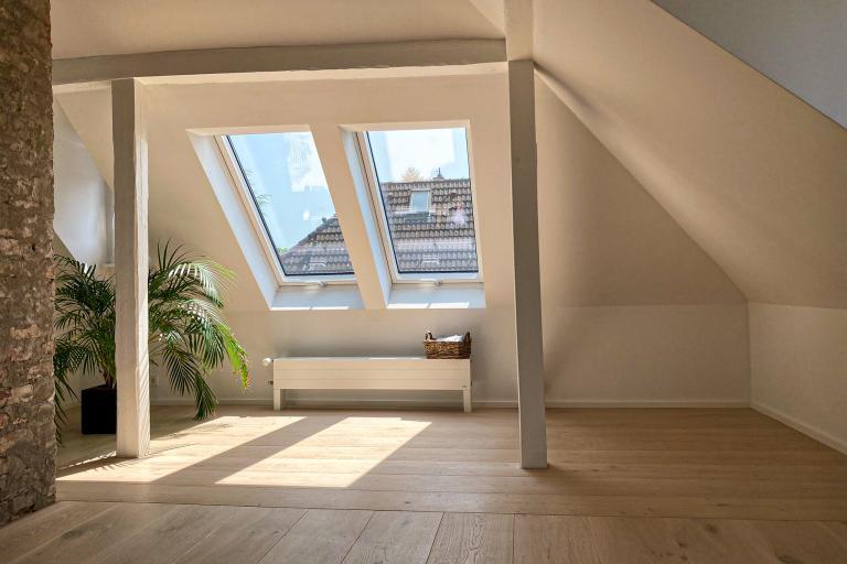 3S SD Dom soft-Muschel