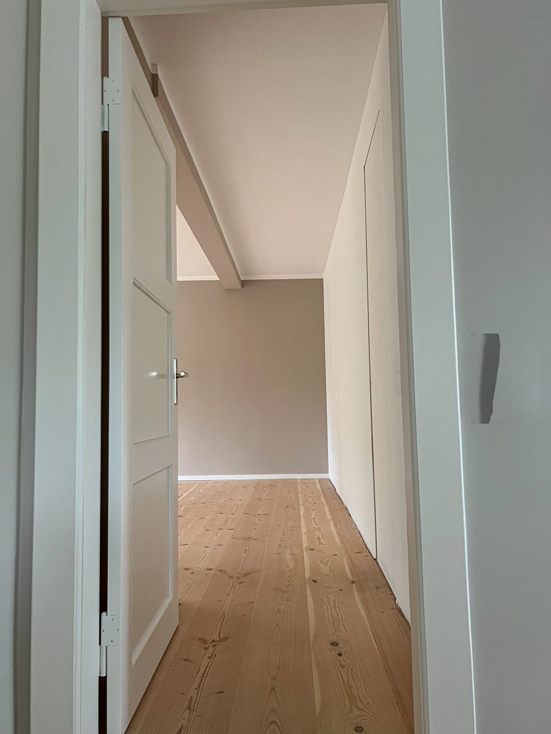 Douglasie Dom-soft Natur 22