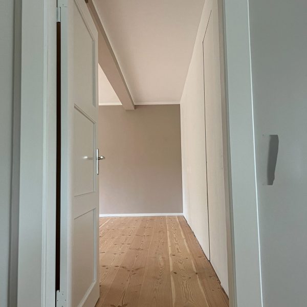 Douglasie Dom-soft Natur 22