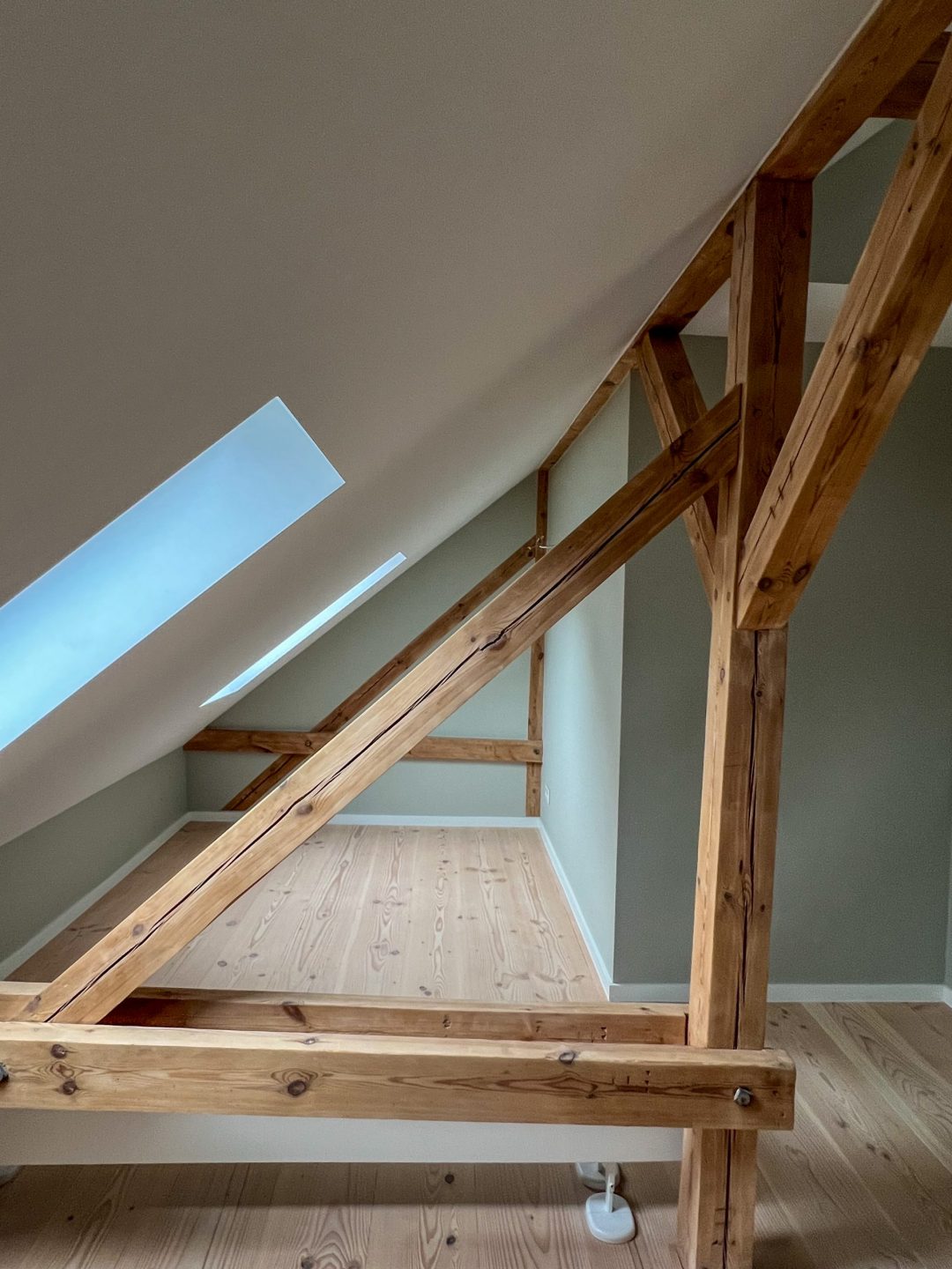 Douglasie Dom-soft Natur 22