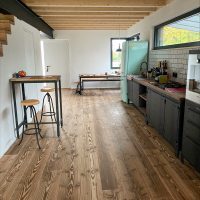 Douglasie_Massiv_Dom Outback