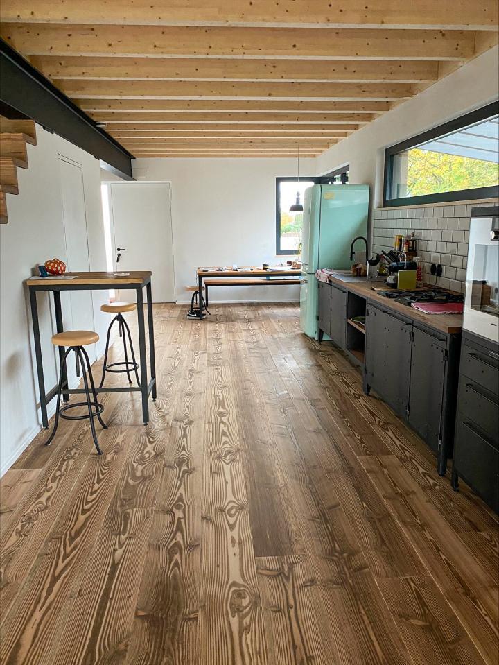 Douglasie_Massiv_Dom Outback