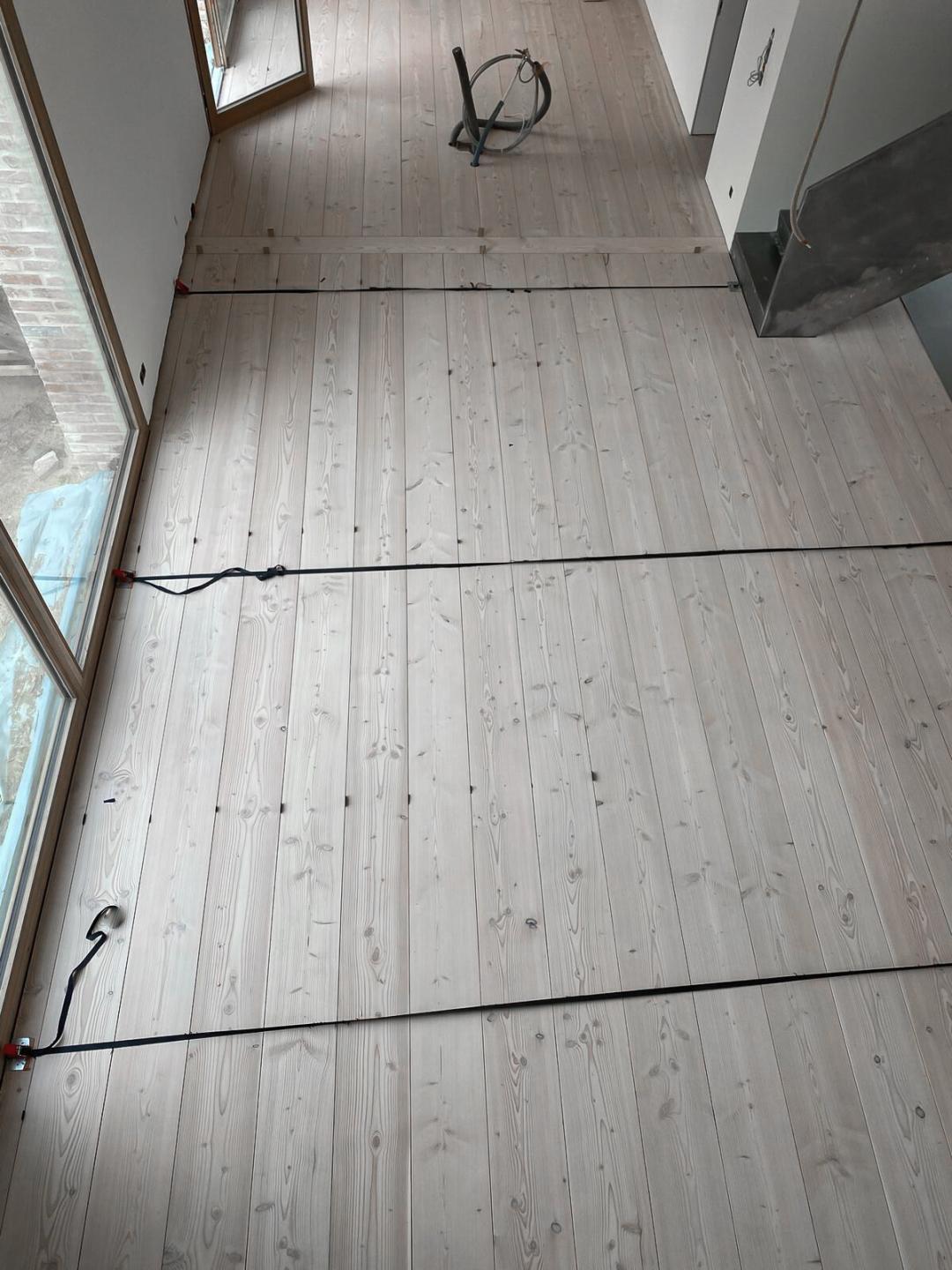 Douglasie_Dom_Schwedisch_weiss