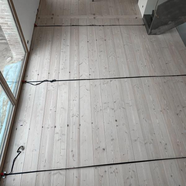 Douglasie_Dom_Schwedisch_weiss