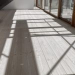 Douglasie_Dom_Schwedisch_weiss