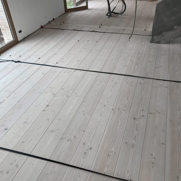 Douglasie_Dom_Schwedisch_weiss