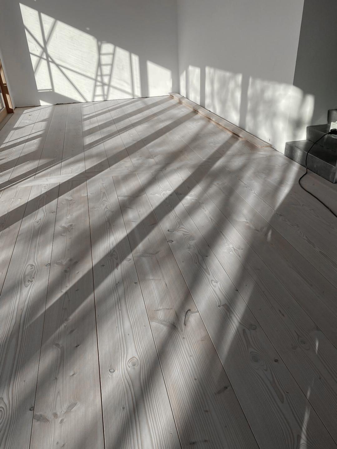 Douglasie_Dom_Schwedisch_weiss