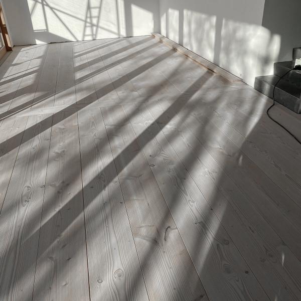 Douglasie_Dom_Schwedisch_weiss