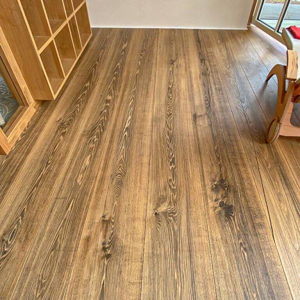 Schlossdielen Dom-Dirty Harry 2.1