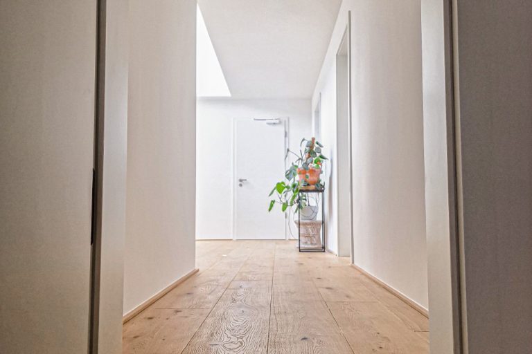 Schlossdielen Dom-Forst