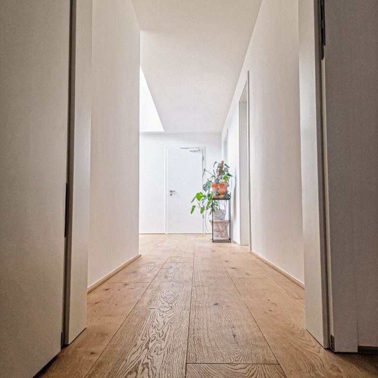 Schlossdielen Dom-Forst