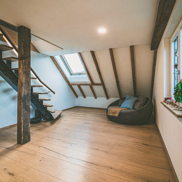 Schlossdielen Dom-Savanne