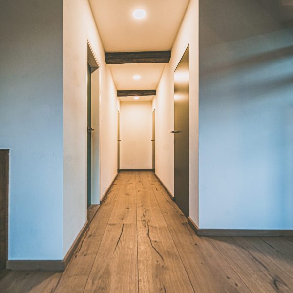 Schlossdielen Dom-Savanne