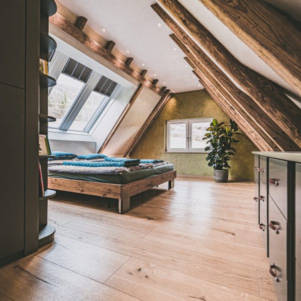 Schlossdielen Dom-Savanne