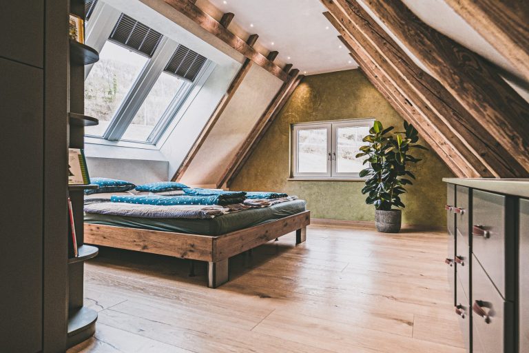 Schlossdielen Dom-Savanne