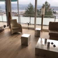 Schlossdielen Eiche gebürstet - Elfenbein 2017