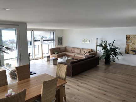 Schlossdielen Eiche gebürstet - Elfenbein 2017